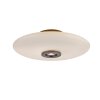 Paul Neuhaus PURE Vitrum Deckenleuchte LED Braun, 2-flammig