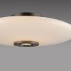Paul Neuhaus PURE Vitrum Deckenleuchte LED Braun, 2-flammig
