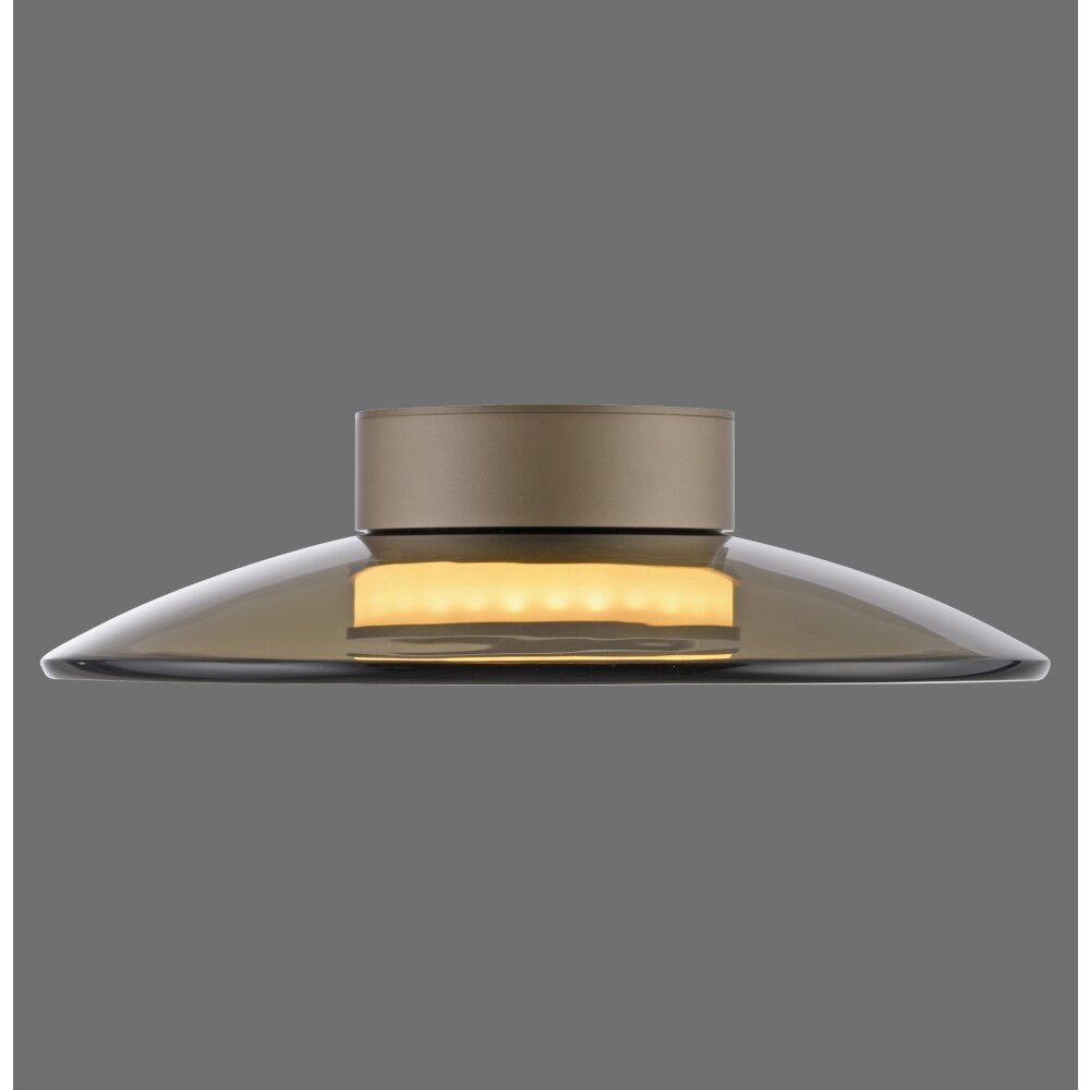 Paul Neuhaus PURE Moon Deckenleuchte LED Bronze, 2-flammig main product photo
