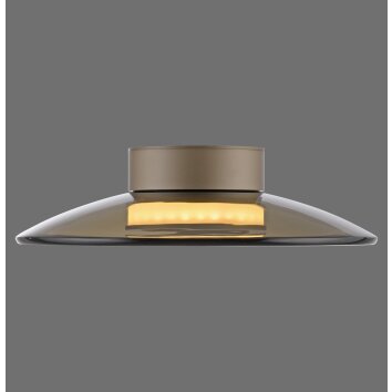 Paul Neuhaus PURE Moon Deckenleuchte LED Bronze, 2-flammig