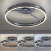 Paul Neuhaus PURE Loop Deckenleuchte LED Grau, 2-flammig, Fernbedienung