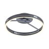 Paul Neuhaus PURE Loop Deckenleuchte LED Grau, 2-flammig, Fernbedienung