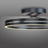 Paul Neuhaus PURE Loop Deckenleuchte LED Grau, 2-flammig, Fernbedienung