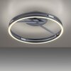 Paul Neuhaus PURE Loop Deckenleuchte LED Grau, 2-flammig, Fernbedienung