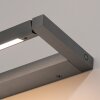 Paul Neuhaus PURE Puro Wandleuchte LED Grau, 1-flammig