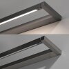 Paul Neuhaus PURE Puro Wandleuchte LED Grau, 1-flammig