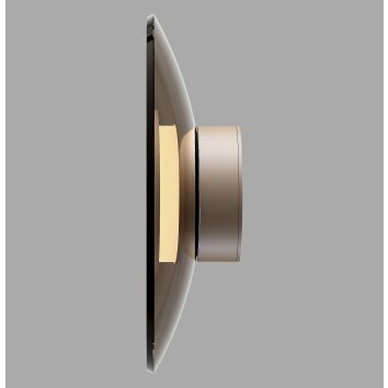 Paul Neuhaus PURE Moon Wandleuchte LED Bronze, 1-flammig