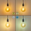 LED Glühbirne Pratoia E27 9 Watt 806 Lumen 2200 - 5500 Kelvin