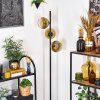 Koyoto Stehleuchte Glas 15 cm Gold, Klar, 3-flammig