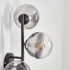 Gastor Wandleuchte Glas 15 cm Klar, Rauchfarben, 3-flammig