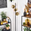 Ripoll Stehleuchte Glas 15 cm Gold, Klar, 3-flammig