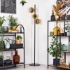 Ripoll Stehleuchte Glas 15 cm Gold, Klar, 3-flammig