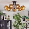 Ripoll Deckenleuchte Glas 15 cm Gold, Klar, 7-flammig