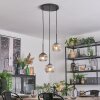 Ripoll Hängeleuchte Glas 15 cm Klar, Rauchfarben, 3-flammig