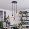 Ripoll Hängeleuchte Glas 15 cm Bernsteinfarben, Klar, 3-flammig