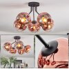Ripoll Deckenleuchte Glas 15 cm Klar, Kupferfarben, 5-flammig