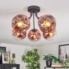 Ripoll Deckenleuchte Glas 15 cm Klar, Kupferfarben, 5-flammig