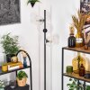 Ripoll Stehleuchte Glas 15 cm Klar, 3-flammig