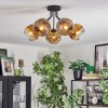 Ripoll Deckenleuchte Glas 15 cm Gold, Klar, 5-flammig
