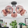 Ripoll Deckenleuchte Glas 15 cm Klar, Kupferfarben, 5-flammig