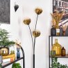 Ripoll Stehleuchte Glas 15 cm Gold, Klar, 3-flammig