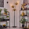 Ripoll Stehleuchte Glas 15 cm Gold, 3-flammig