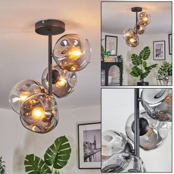 Ripoll Deckenleuchte Glas 15 cm Klar, Rauchfarben, 4-flammig