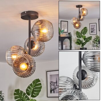 Ripoll Deckenleuchte Glas 15 cm Klar, Rauchfarben, 4-flammig