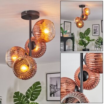 Ripoll Deckenleuchte Glas 15 cm Klar, Kupferfarben, 4-flammig