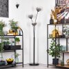 Koyoto Stehleuchte Glas 15 cm Klar, Rauchfarben, 3-flammig