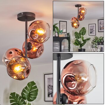 Ripoll Deckenleuchte Glas 15 cm Klar, Kupferfarben, 4-flammig Ripoll Deckenleuchte Glas 15 cm Klar, Kupferfarben, 4-flammig