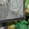 Tieva Wegeleuchte Schwarz, Silber, 1-flammig
