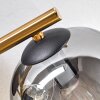 Ripoll Deckenleuchte Glas 15 cm Gold, Schwarz, 3-flammig