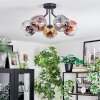 Ripoll Deckenleuchte Glas 15 cm Chrom, Gold, Klar, Kupferfarben, Rauchfarben, 5-flammig