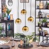 Ripoll Hängeleuchte Glas 15 cm Gold, Klar, 4-flammig
