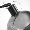 Ripoll Stehleuchte Glas 20 cm Schwarz, 1-flammig