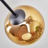 Koyoto Deckenleuchte Glas 15 cm Gold, Klar, Kupferfarben, Rauchfarben, 6-flammig