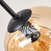 Ripoll Deckenleuchte Glas 15 cm Bernsteinfarben, Klar, Rauchfarben, 8-flammig
