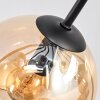 Koyoto Deckenleuchte Glas 15 cm Bernsteinfarben, Chrom, Klar, Rauchfarben, 10-flammig