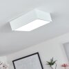 Netstal Deckenleuchte LED Weiß, 1-flammig