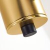 Gnarp Pendelleuchte Schwarz-Gold, 4-flammig