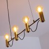 Gnarp Pendelleuchte Schwarz-Gold, 4-flammig