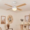 Hausvik Deckenventilator mit Beleuchtung Braun, Weiß, 1-flammig, Fernbedienung