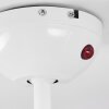 Hausvik Deckenventilator mit Beleuchtung Braun, Weiß, 1-flammig, Fernbedienung