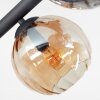 Koyoto Deckenleuchte Glas 15 cm Bernsteinfarben, Klar, Rauchfarben, 10-flammig