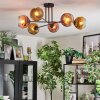 Ripoll Deckenleuchte Glas 15 cm Gold, Klar, Kupferfarben, 6-flammig