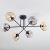 Ripoll Deckenleuchte Glas 15cm Bernsteinfarben, Klar, Rauchfarben, 6-flammig