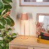 Salgadinho Tischleuchte LED Aprikosenfarben, 1-flammig