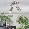 Firan Deckenleuchte LED Nickel-Matt, 2-flammig