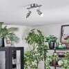 Firan Deckenleuchte LED Nickel-Matt, 2-flammig